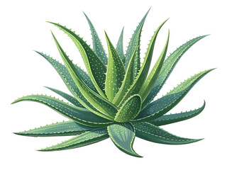 Detailed Digital Illustration of a Lush Green Aloe Vera Plant with Spiky Leaves Against a Black Background Showing Varied Shades of Green and White Speckles on the Leaves