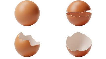 Egg Shell Fragments and Whole Egg on Black Background