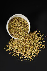 Indian food or spice called coriander isolated on Blackbackground  