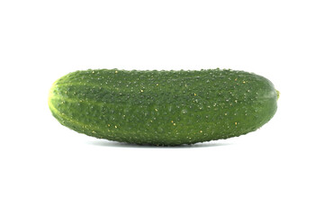 Vibrant, fresh cucumber is showcased against a clean white background, perfect for healthy eating.