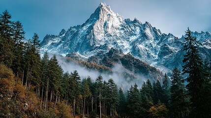 A snow-covered mountain peak rises above a forest with low-lying clouds.