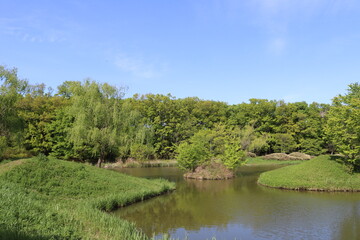 池のある公園　癒しの新緑