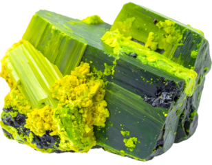 Autunite is a yellow-greenish fluorescent phosphate mineral on Transparent Background