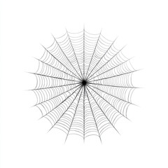 Fototapeta premium Spider web pattern with delicate lines on white background