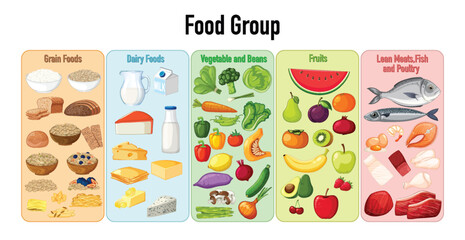 Vector Chart of Five Main Food Groups for Nutrition