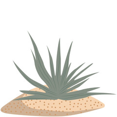 Green desert plant illustration with spiky leaves, flat minimal style, isolated on white background for decoration design.