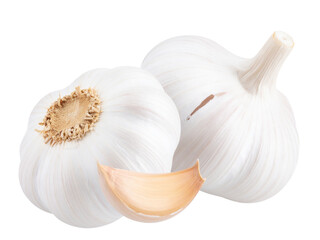 garlic isolated on white background