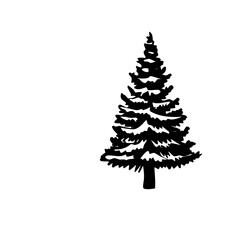 christmas tree isolated on white