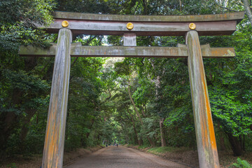 Kitasando Torii, Traditional wooden torii gate at forest pathway entrance at Meiji Jingu, Shibuya,...