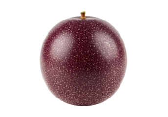 Single dark purple passion fruit speckled skin exotic fruit illustration isolated on white background