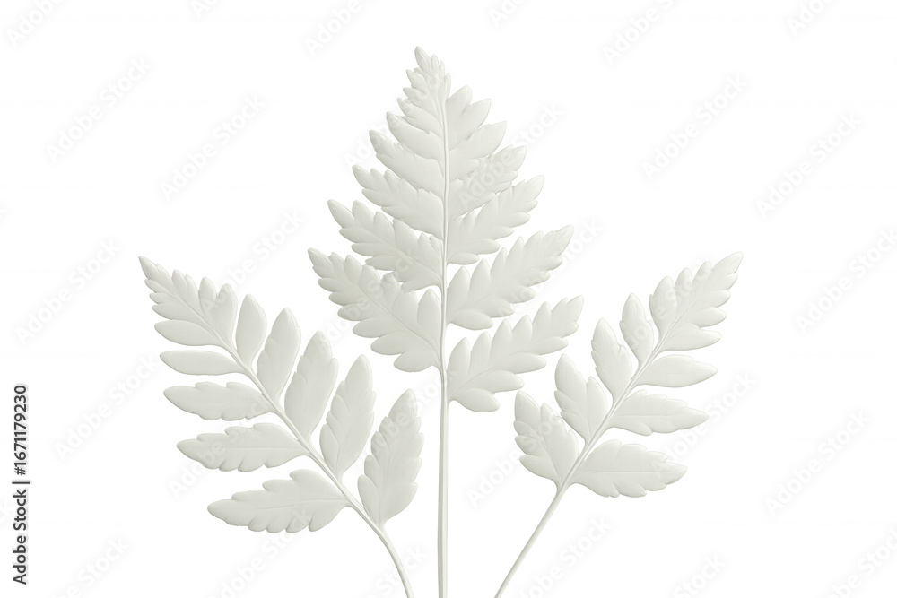 Poster white fern leaves positioned symmetrically against transparent backdrop, creating minimalist botanic