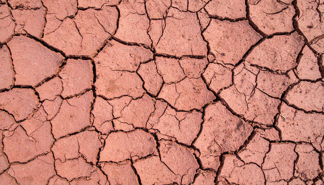 Cracked Earth: A striking display of drought's impact, showcasing the intricate network of fissures that mar the surface, an evocative image of aridity and resilience.