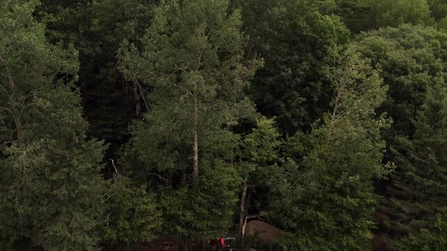 Farmer working on edge of property near forest removing fallen tree - from above