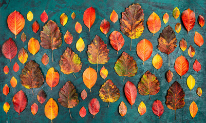 Fall background Flat lay pattern of autumn leaves arranged artistically on textured teal surface