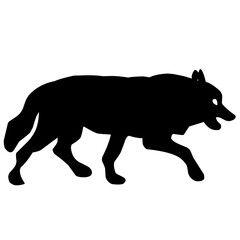 flat vector wolf animal isolated on transparent background