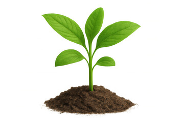Young seedling emerging from fertile soil, symbolizing growth, regeneration, and environmental sustainability against clean backdrop