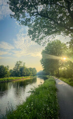 Obraz premium A serene and peaceful riverside scene elegantly showcasing the vibrant green foliage beneath the morning sun
