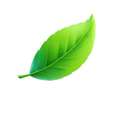 Fototapeta premium Vibrant green leaf graphic