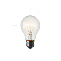 light bulb on white background
