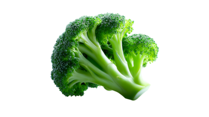 Fresh Broccoli Florets Isolated on White Background, cut out transparent