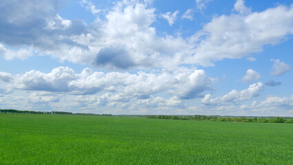 A vast expanse of green fields under a bright blue sky adorned with fluffy white clouds