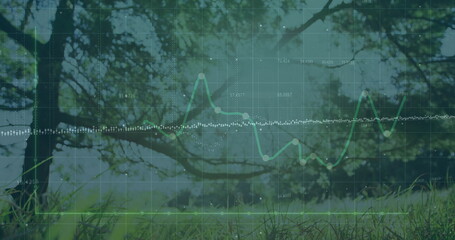 Green line graph fluctuating in forest clearing, with grid overlay, markers, trendline and labels