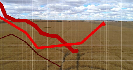 Displaying bright red arrow line trending upward across harvested field grid, with dark red line