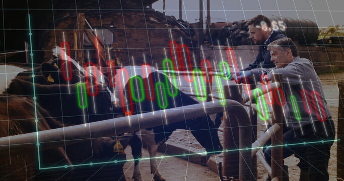 Leaning two farmers watching cows in pen, with candlestick chart overlay, copy space