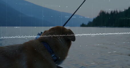 Standing harnessed golden-furred dog gazing over mountain lake dock, fishing rod and data overlay