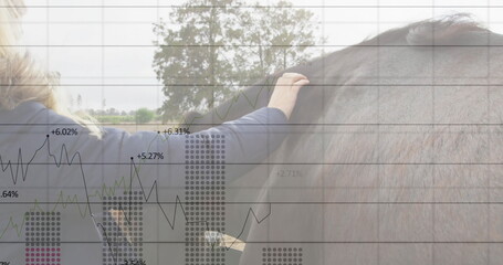 Reaching woman wearing puffer coat stroking brown horse in pasture, with data charts, copy space