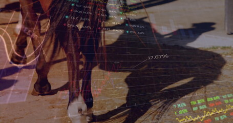 Walking horse front legs and hoofs on sandy path by wooden fence, with stock market charts