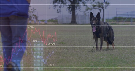 Standing German Shepherd dog panting in grassy field by water, with stock graphs and percentages