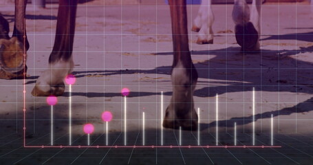 Hooves moving on sandy track with hoof prints, 3D grid, red line, white spikes, magenta markers