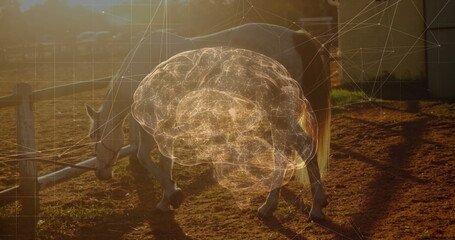 Grazing pale horse in farm pen with 3D brain overlay, network lines, wooden fence by barn