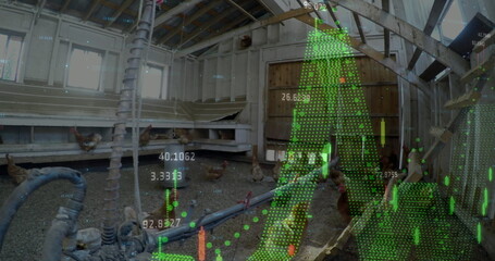 Pecking flock of chickens navigating feed pipes and hose at poultry barn, with sensor data overlay © vectorfusionart