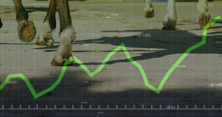 Galloping horse hooves kicking dirt on outdoor racing track, with green line graph grid and shadows