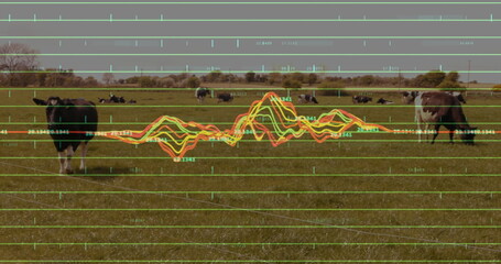 Grazing dairy cows in pasture bordered by distant trees, with green grid overlay and waveform graph