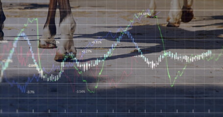 Walking lower legs and hooves of horses across sunny paved path, showing market chart overlay