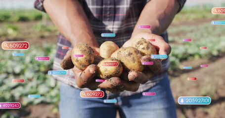 Harvesting farmer holding soil covered potatoes in agricultural field, with floating digital tags