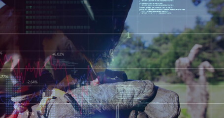 Gripping thick leather work gloves holding pruned vine trunk in vineyard, financial chart overlay