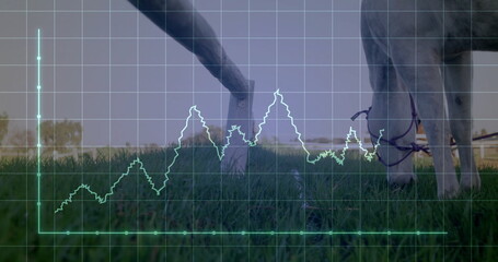 Grazing pale horse lowering head on grassy pasture, with grid overlay and glowing line graph
