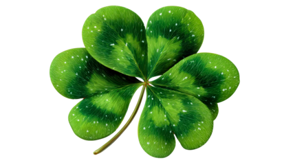 Four Leaf Clover with White Speckles Isolated on White Background, cut out transparent