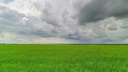 Vast and Expansive Green Fields Spread Out Under a Dramatic and Striking Sky Above