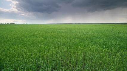A vast and expansive green field stretches out beneath a dramatically changing sky above