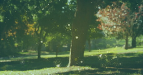 Showing single tree trunk standing in park, with grass and autumn leaves and glowing digital shapes