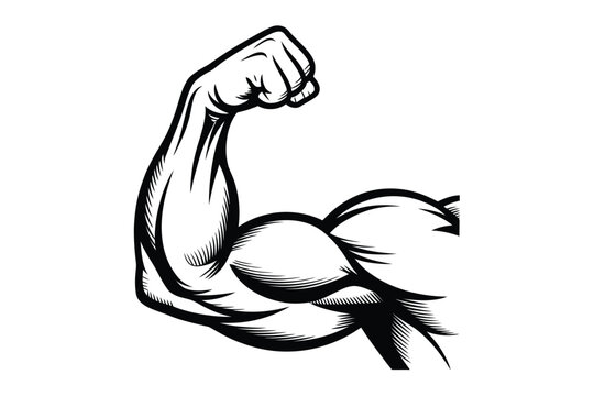 Muscular bicep flexing arm illustration