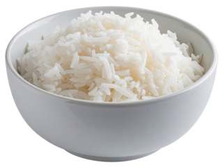 bowl of rice on white