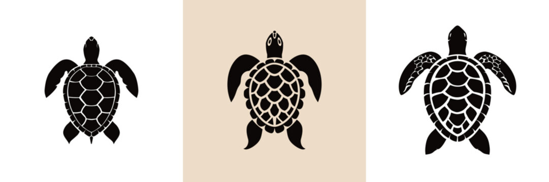 Three sea turtles are artistically represented in black silhouettes, each displaying unique patterns. The background varies in color, enhancing the turtles details and visual appeal.