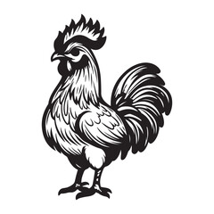 vector illustration of a rooster