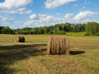 Round bales of hay in a farm field